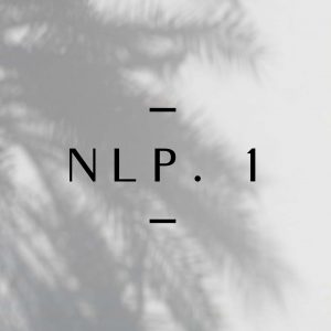 Level 1 – NLP - The ultimate negotiator tools